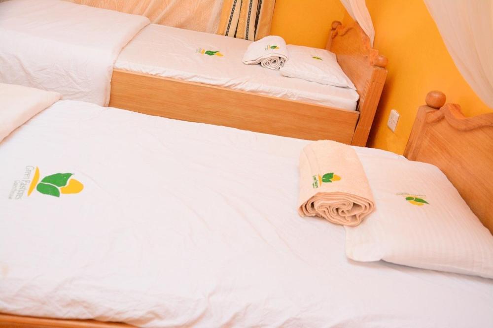 إلدوريت New Green Pastures Guest House المظهر الخارجي الصورة
